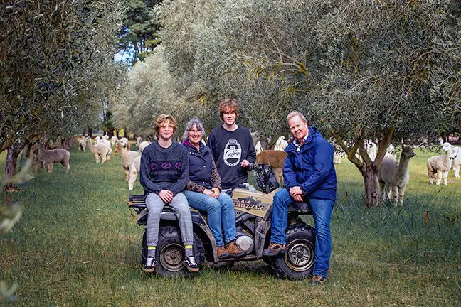 Four people sitting on an ATV in an olive grove, smiling.
